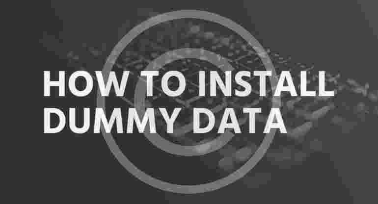 How to install dummy data